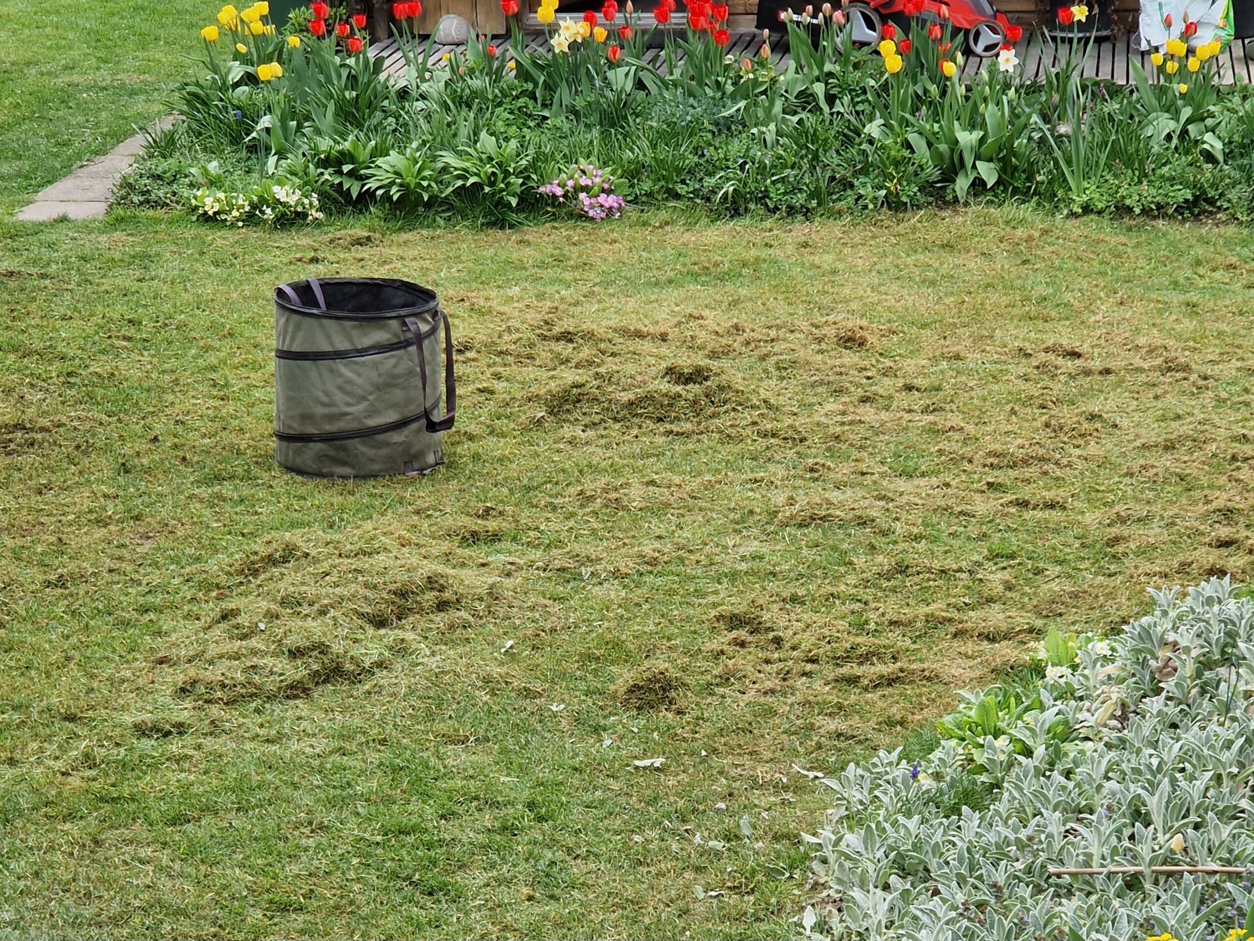Gartenecke nach dem Vertikutieren – ehrlicher Einblick in den Alltag