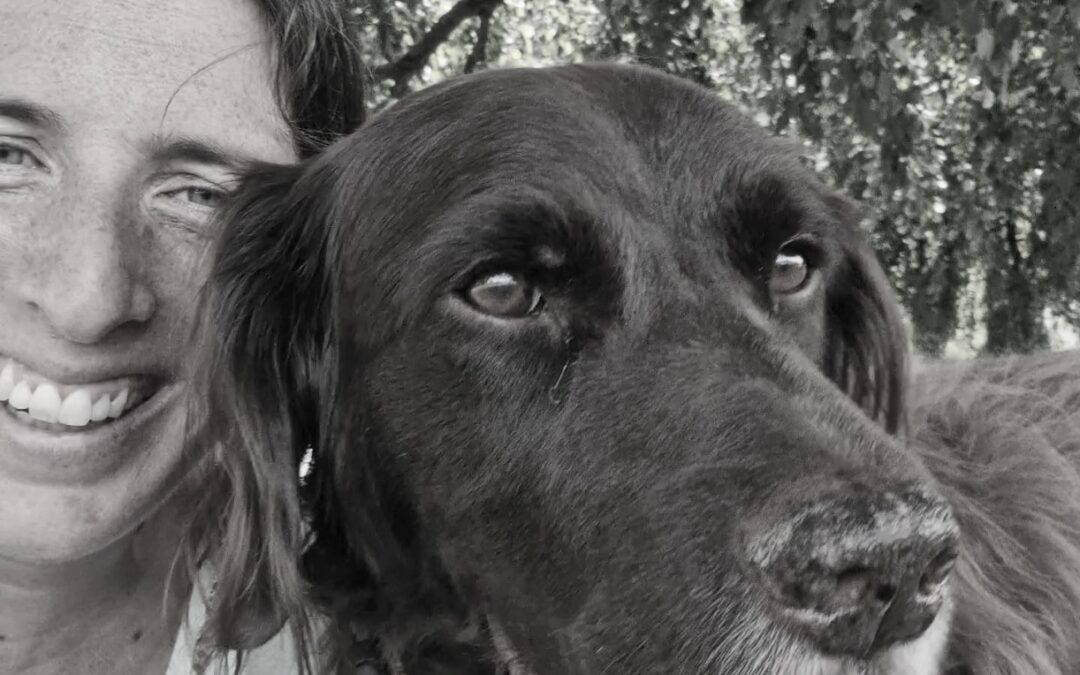 Nie zu alt für neue Abenteuer – was wir von alten Hunden (und vom Leben) lernen können